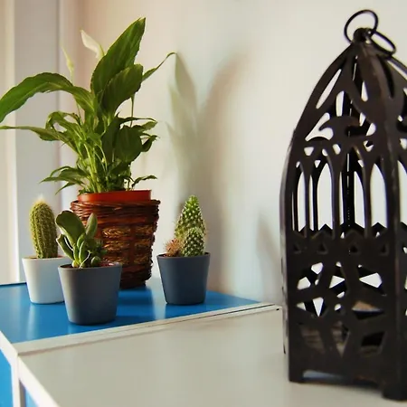 Apartment Puerta Real *